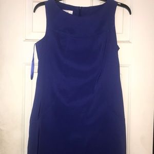 Royal blue shift dress